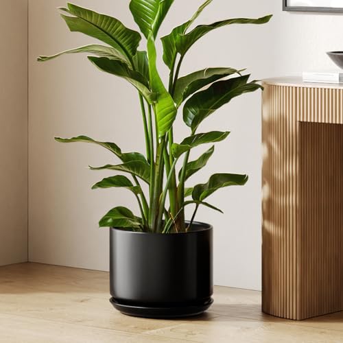 12 Inch Pots for Plants (Black / 12")
