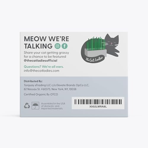 Cat Grass Kit with Rustic Wood Planter (Natural)