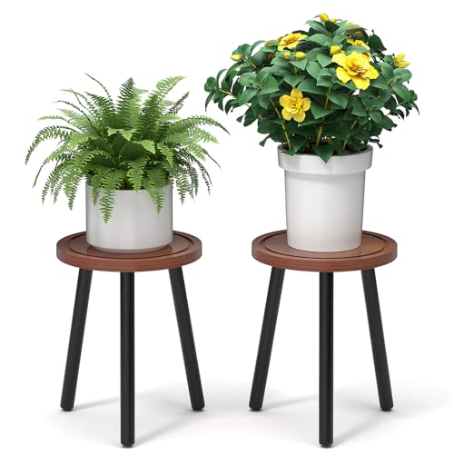 2 Pack Wood Plant Stands Indoor (Brown Tray with Black Legs / 2 Pack)