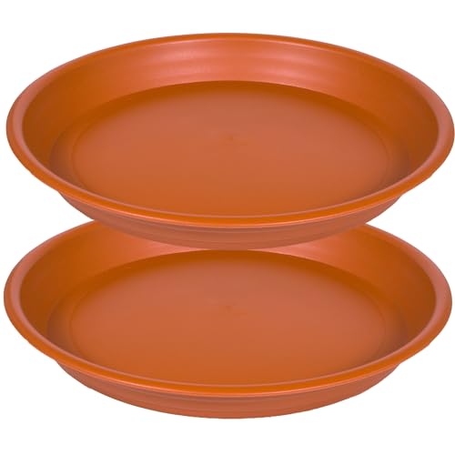 Plant Saucer Pot Tray 10 inch