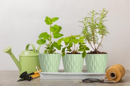 6 Inch Plant Pots (Green / 6inch)