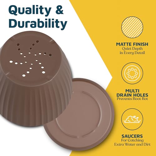 Brown 6 Inch Plant Pots with Drainage & Saucers 24 Pack (24 Count)