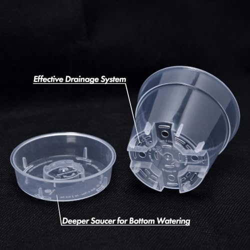 3 Inch Clear Plastic Plant Pot with Drainage Holes (3" x 2.5")
