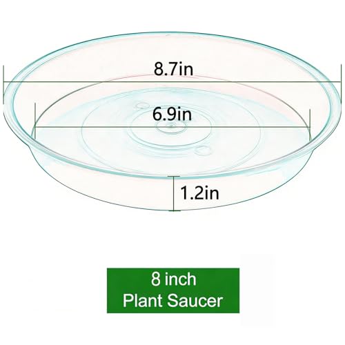 7Pcs Plant Saucer Tray (8in（7pcs） / Dark Gray)