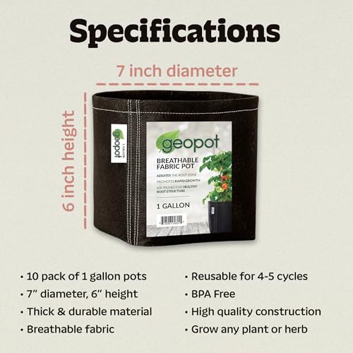 1 Gallon Fabric Grow Bags for Vegetables (1 Gallon (10-Pack) / No Handles)