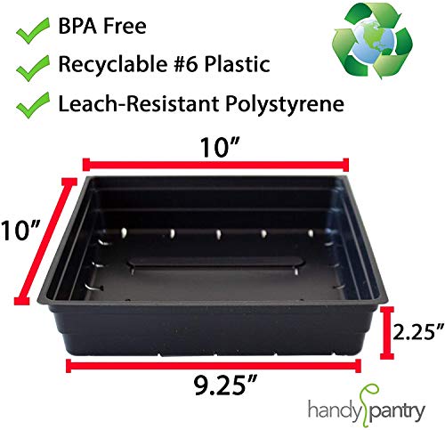 10" x 10" Garden Growing Trays with Drain Holes (10 Count)