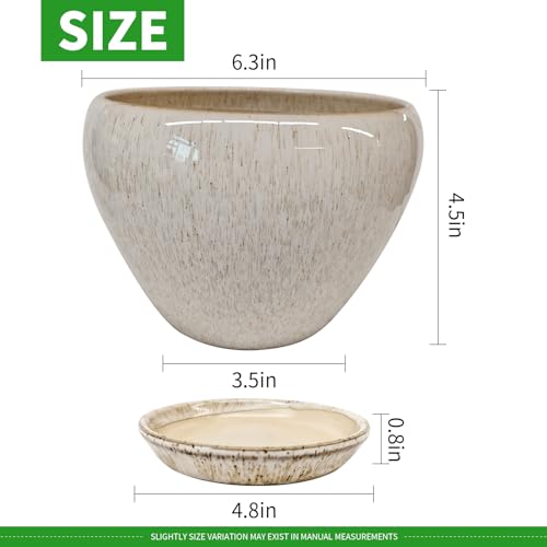 6 Inch Plant Pots (Beige / 6 Inch)