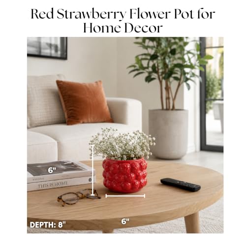 Fruit Inspired Planter for Indoor and Outdoor Display (Red / 6")