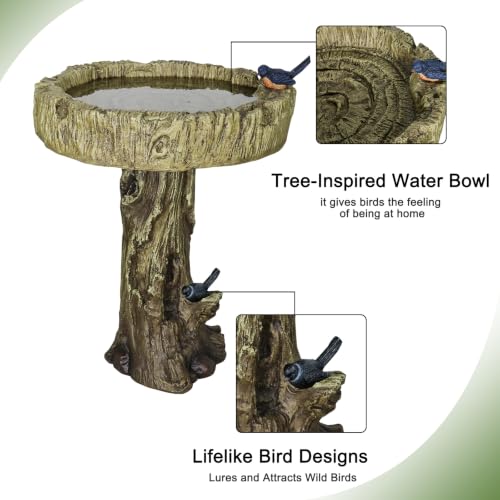 Bird Baths for Outdoor (Woodland with bird)