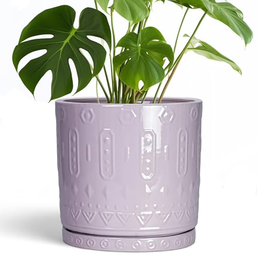 10 Inch Planter (10 Inch / Purple)