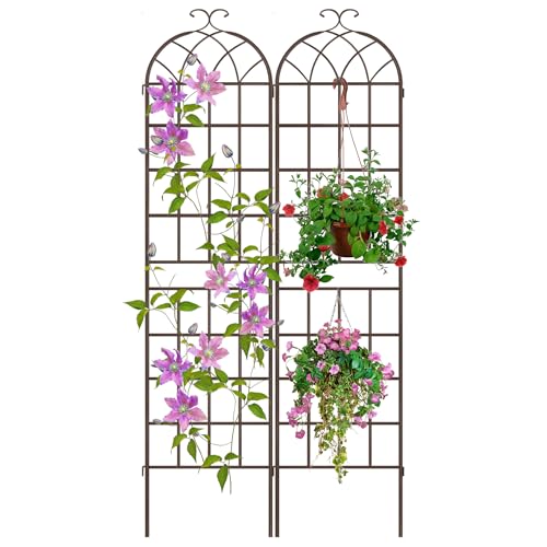 82.7 x 40in Rustic Iron Arch Decoration Garden Trellis with Metal Coating (2 Count)