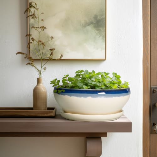 Bonsai Pots 10 Inch Ceramic Pots for Succulents (10 Inch / Blue-beige)
