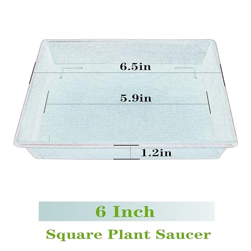 Square Plant Saucer 6 Inch 5 Pack6 8 12 14 16 18 20 Plant Trays for Pots (6"-5Pack / Blue)