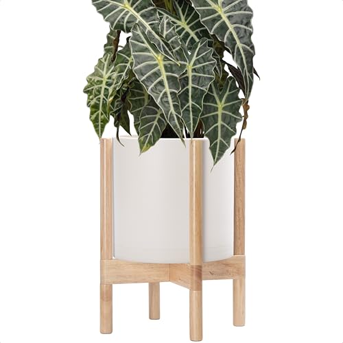 Plastic Pot with Natural Wood Stand (Oatmeal Pot + Natural Stand / 10 Inch)