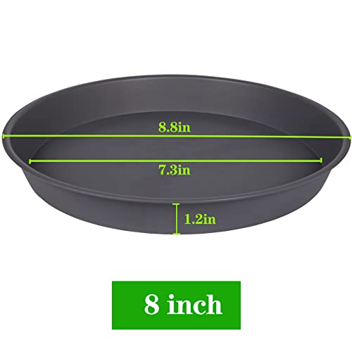 2 Pack of 8 inch Plant Saucer Clear (8" (2 pack) / Cement)