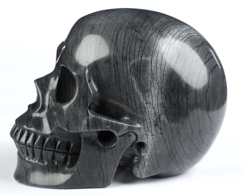 5.0" Black Picasso Jasper Crystal Skull (Skullis 5.0" Black Picasso Jasper 50)