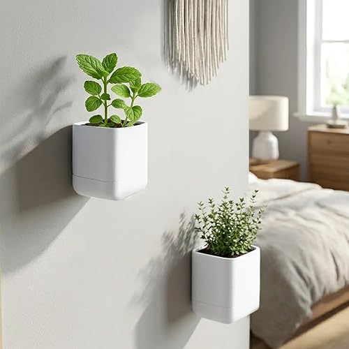 3.5 Inch Wall Mounted Self (3.5" (3 Pack) / White)