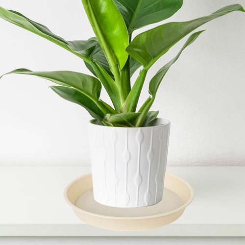 2 Pack of 8 inch Plant Saucer Clear (8" (2 pack) / Beige)