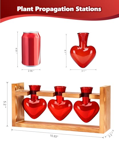 Plant Terrarium with Wooden Stand (Red)