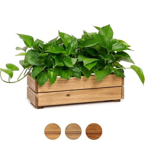 Premium Wooden Planter Box