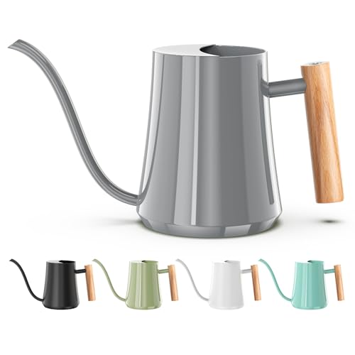 1L 35oz Metal Watering Can Indoor with Long Spout (Gray)