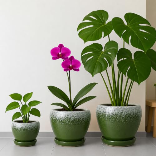 8 Inch Plant Pots (Blackish Green / 8 Inch)