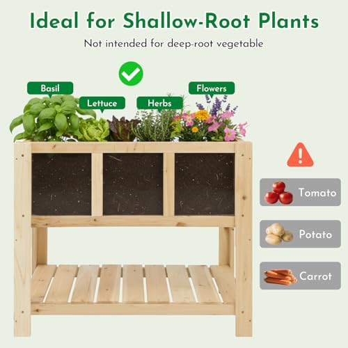 Raised Garden Bed with Transparent Acrylic Side Panels (28" x 15"x 24")