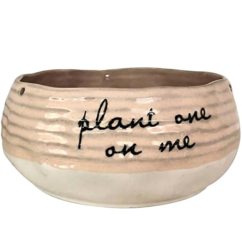Hanging Patricia 7" Broad Planter