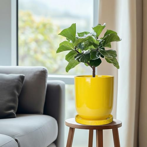 Ceramic Plant Saucer (7.5 Inch / Yellow)