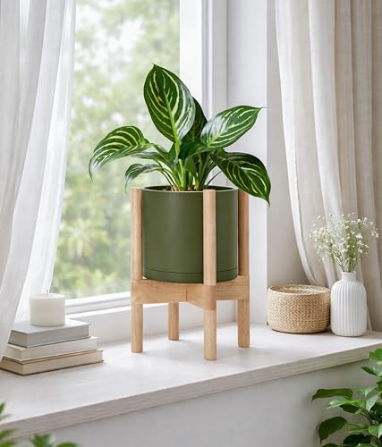 Plastic Pot with Natural Wood Stand (Olive Pot + Natural Stand / 8 Inch)