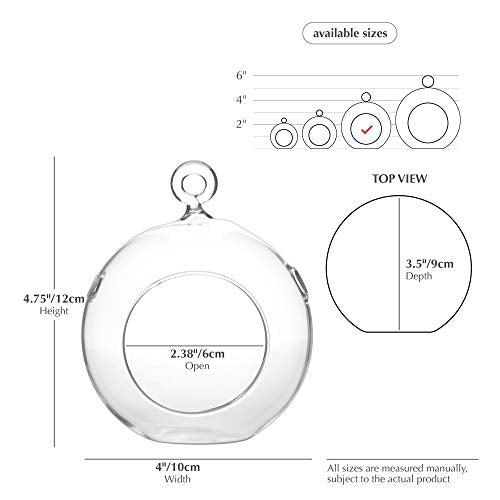 WGV Hanging Terrarium Globe (12 Count)