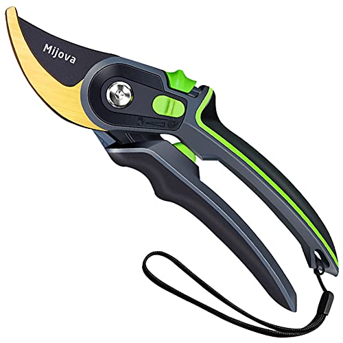 Garden Shears & Clippers