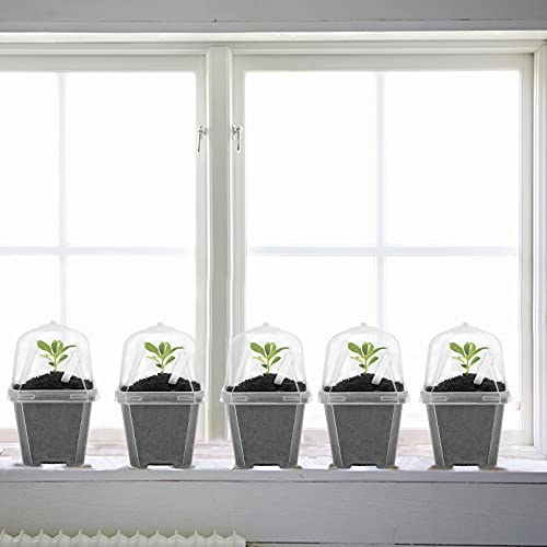10 Pcs 3" Clear Plant Nursery Pot with Humidity Dome (10 Count)