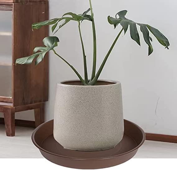 2 Pack of 8 inch Plant Saucer Clear (8" (2 pack) / Chocolate)