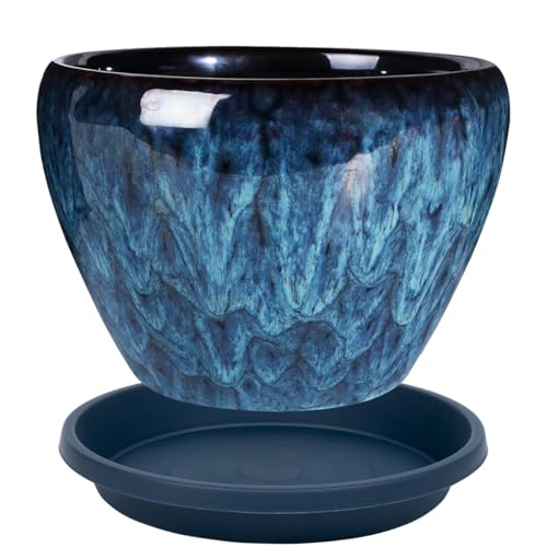 5 Pack Plant Saucer 6 Inch (6" (5 Pack) / Dark_blue)