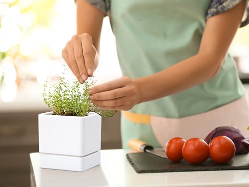 Plastic Herb Planter Pot