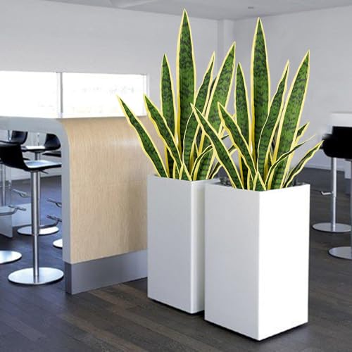 Artificial Plants 6PCS 30“Tall Faux Snake Plant (Yellow Snake Plants)