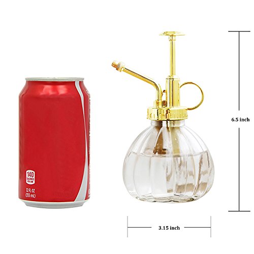 Glass Plant Mister Spray Bottle