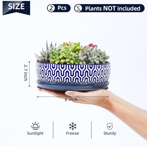 Ceramic Succulent Pots (Vintage Blue / 8 inch)