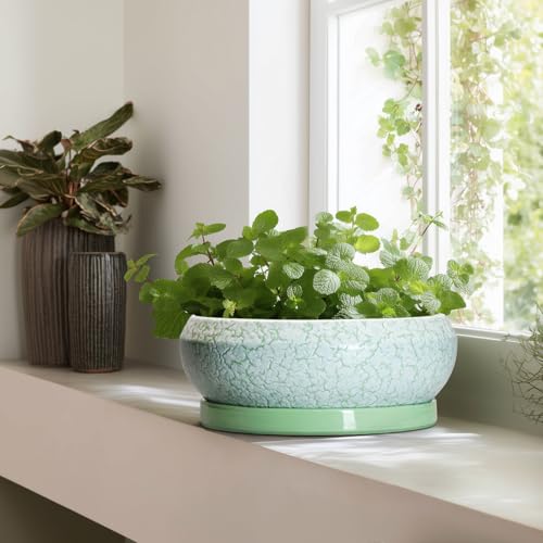 Bonsai Pots 13 Inch Ceramic Succulent Pots for Indoor Outdoor (13 Inch / Bright Green-white)