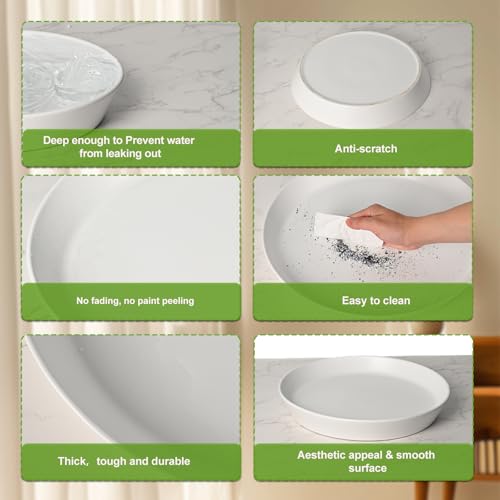 Plant Saucer 8 Inch (2 Count)