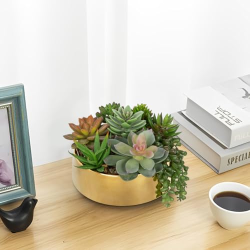 Artificial Succulent Plants in Pot 5.5 Inch Fake Succulents Arrangement (Gold Ceramic#style 2)