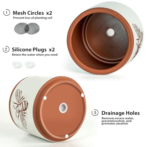 Terracotta Pots (6+4 Inch / White Bee)