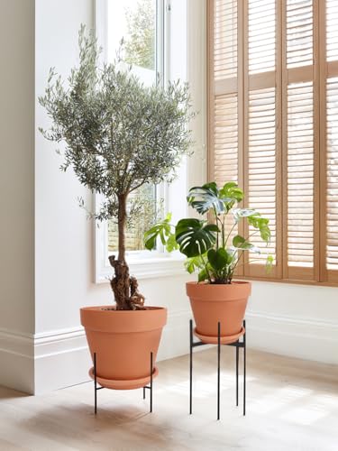 Terracotta Pot with Saucer 10&12 Inch (10/12 inch -2 pcs)