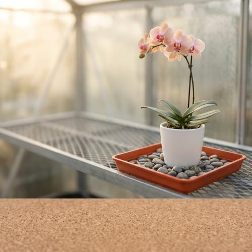 15 PCS 7 x 7 Inch Square Plant Saucer (7 Inch 15 Pcs / Terracotta)