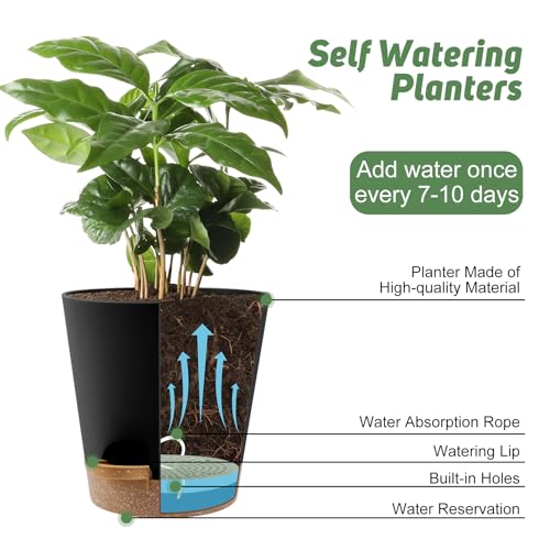 8 Inch Plant Pots (2 Count)