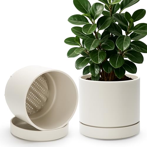 8 Inch Planter Pot with Drainage Hole & Saucer (8" (2 Pack) / Oatmeal)