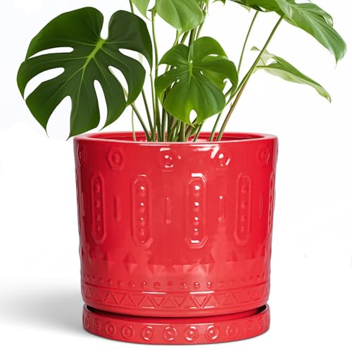 10 Inch Plant Pot (10 Inch / Red)
