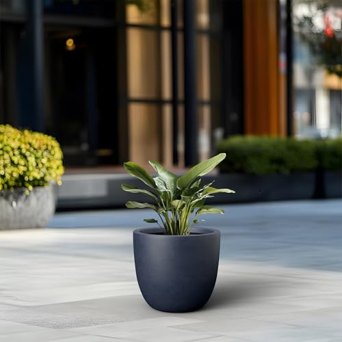 Round Concrete Planter (Charcoal / 14-Inch Dia)