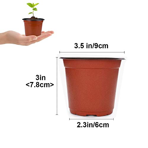 100 Pcs 3.5 Inch Plastic Seedlings Plants (100 Pcs 3.5 Inch)